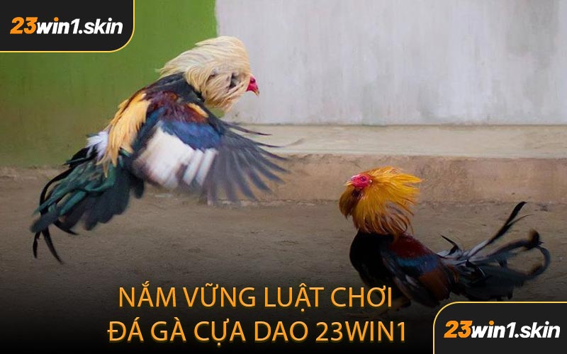 Nắm Vững Luật Chơi Đá Gà Cựa Dao 23WIN1