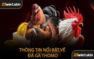 Thông Tin Nổi Bật Về Đá Gà Thomo