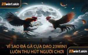 Vì Sao Đá Gà Cựa Dao 23WIN1 Luôn Thu Hút Người Chơi