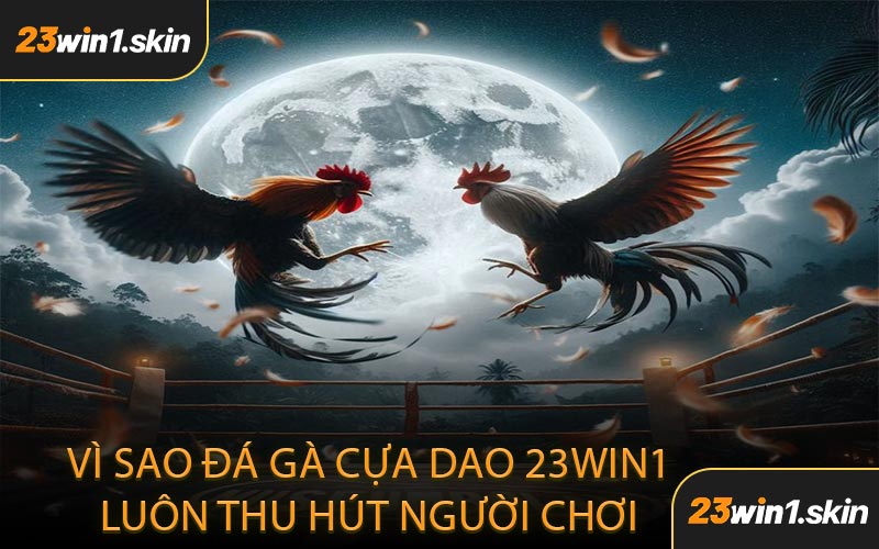 Vì Sao Đá Gà Cựa Dao 23WIN1 Luôn Thu Hút Người Chơi