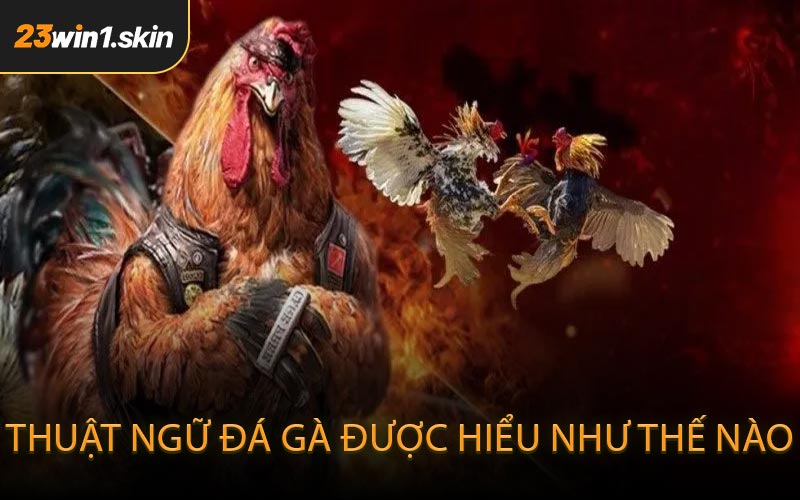 Thuật ngữ đá gà được hiểu như thế nào