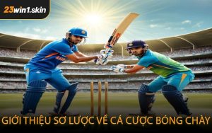 Giới thiệu sơ lược về cá cược bóng chày