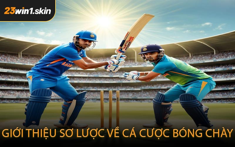 Giới thiệu sơ lược về cá cược bóng chày