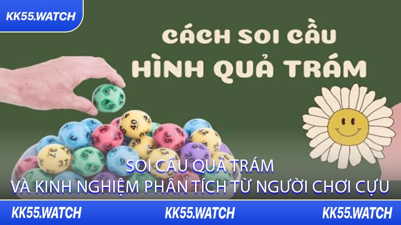 Soi Cầu Quả Trám Và Kinh Nghiệm Phân Tích Từ Người Chơi Cựu