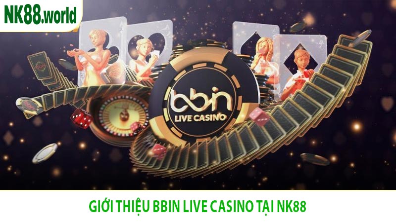 Giới Thiệu BBIN Live Casino Tại NK88